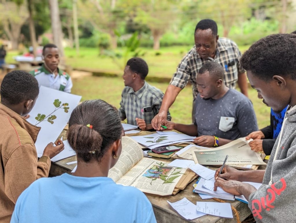 Herbaria Preparation