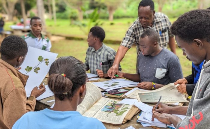 Herbaria Preparation